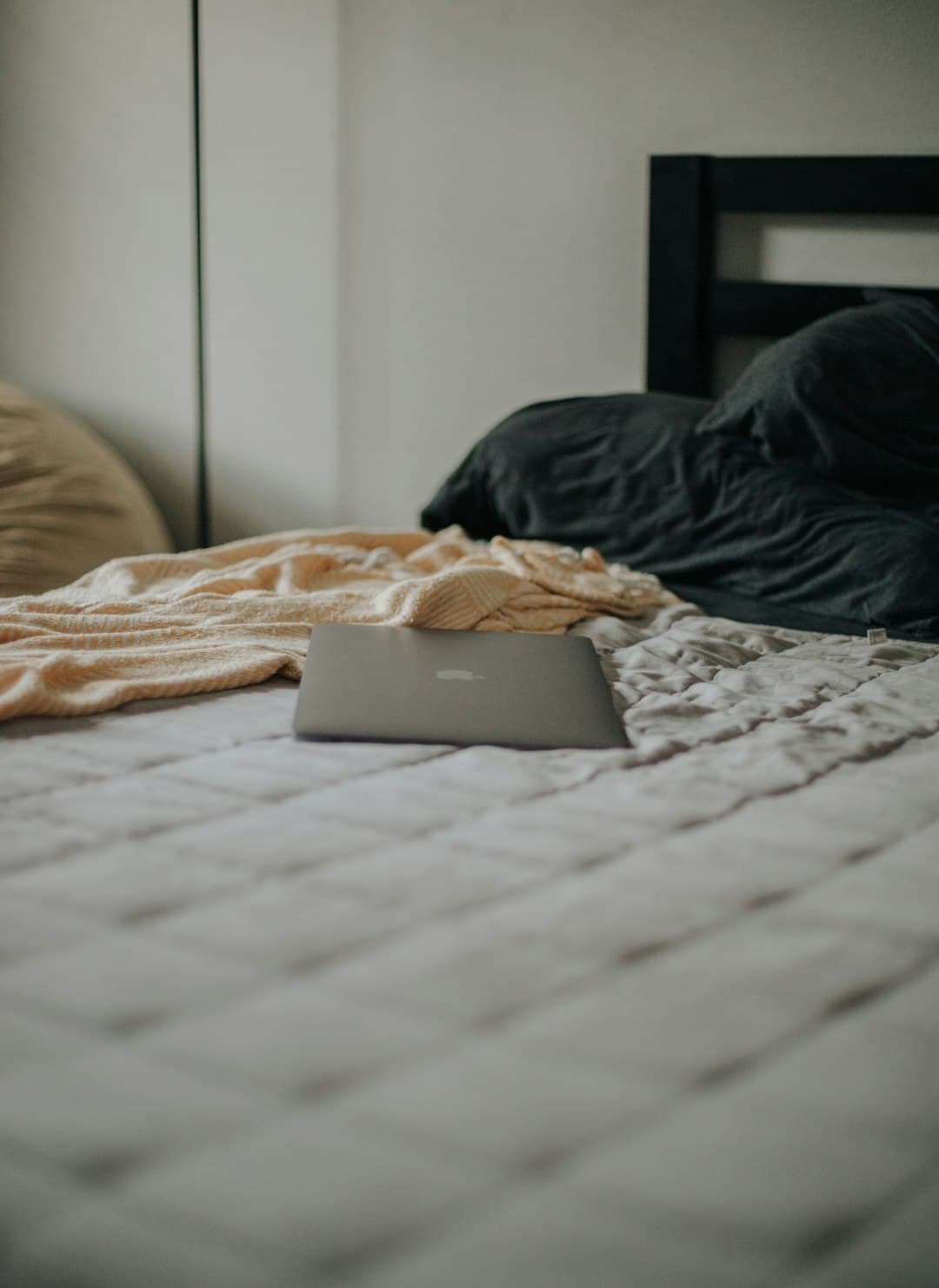 How to Get Rid of Bed Bugs Step by Step Without Panic